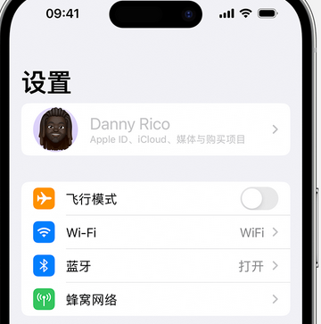 利国镇appleID维修服务iPhone设置中Apple ID显示为灰色无法使用 