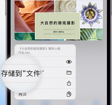 利国镇apple维修中心分享iPhone文件应用中存储和找到下载文件