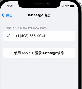 利国镇apple维修iPhone上无法正常发送iMessage信息 