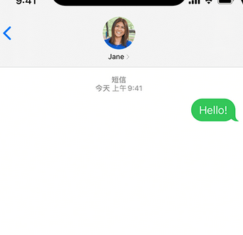 利国镇apple维修iPhone上无法正常发送iMessage信息