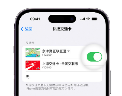 利国镇apple维修点分享iPhone上更换Apple Pay快捷交通卡手绘卡面 