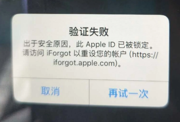 利国镇iPhone维修分享iPhone上正常登录或使用AppleID怎么办 