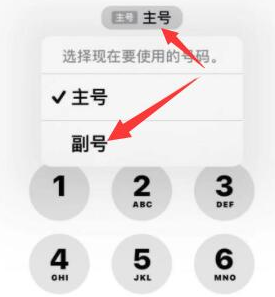 利国镇苹果14维修店分享iPhone 14 Pro Max使用副卡打电话的方法 