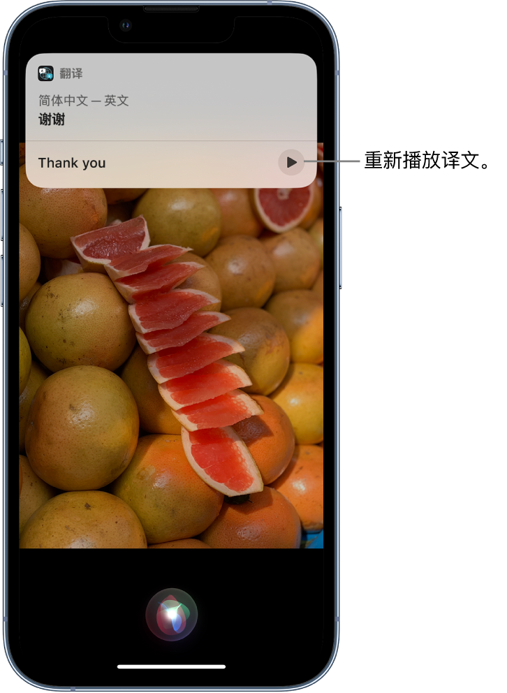 利国镇苹果14维修分享 iPhone 14 机型中使用 Siri：了解 Siri 能帮你做什么 