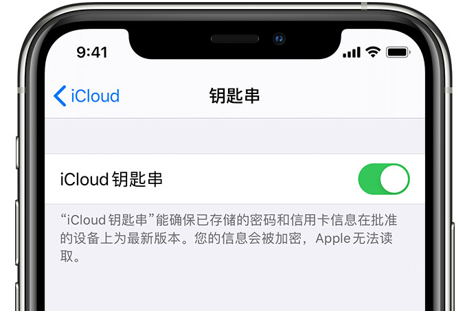 利国镇苹果手机维修分享在 iPhone 上开启 iCloud 钥匙串之后会储存哪些信息 