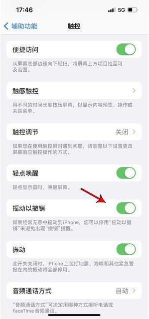 利国镇苹果手机维修分享iPhone手机如何设置摇一摇删除文字 