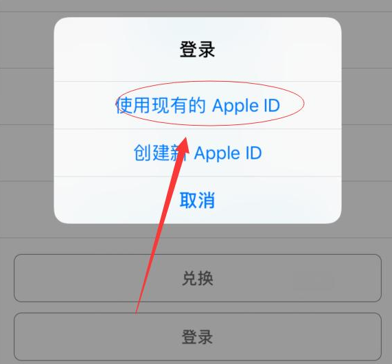 利国镇苹果手机维修分享两台iPhone设备可以同时登录一个Apple ID吗 