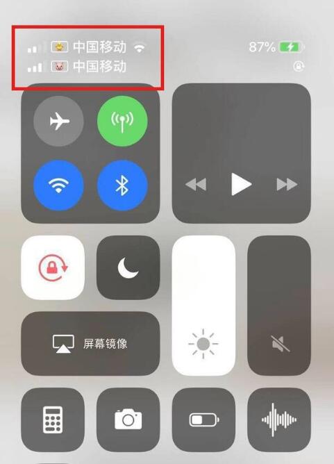 利国镇苹果手机维修分享为 iPhone 12 双卡设置标签 