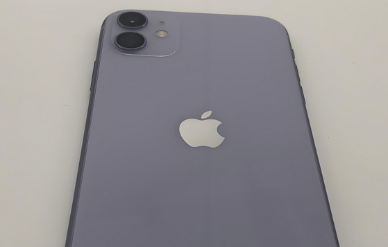 利国镇苹果11系统维修分享iPhone11手机系统崩溃无法开机如何解决